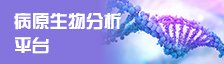 亚美体育手机版