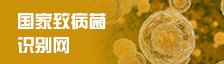 正文适合核对表述